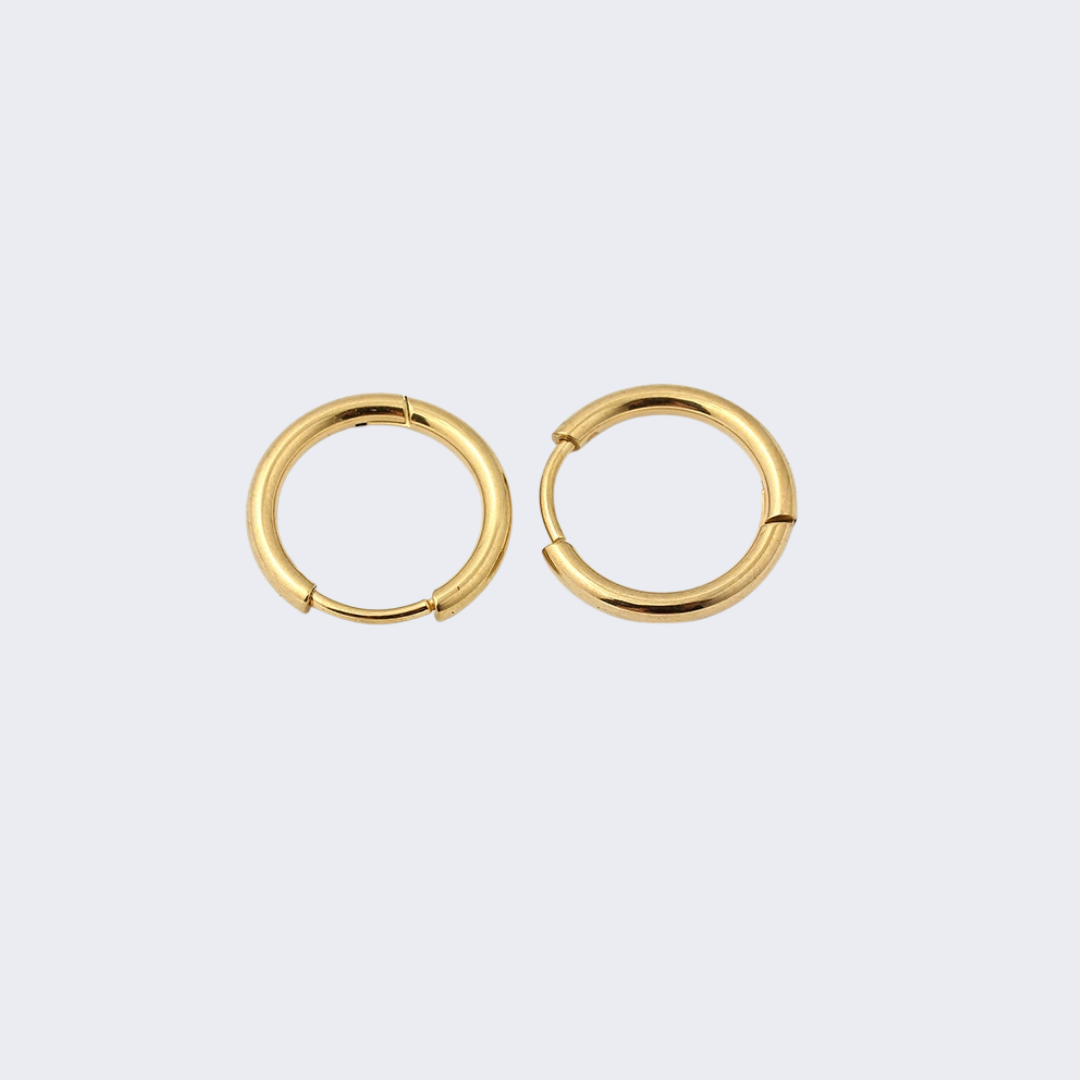 Hoop Earrings