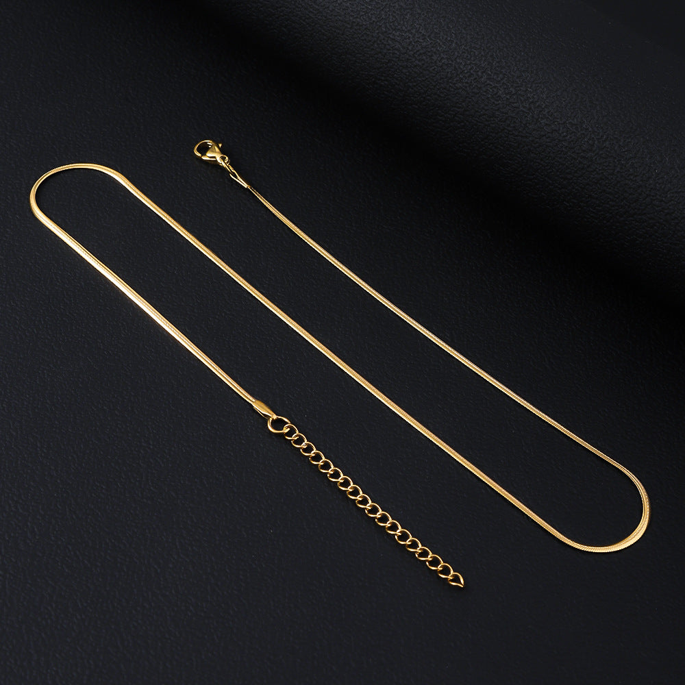 Cross border stainless steel push fit necklace, simple hip-hop snake bone chain, DIY accessory chain, women's collarbone titanium steel necklace